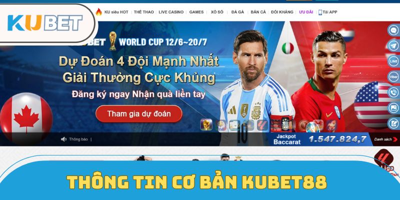 Thông tin cơ bản Kubet88